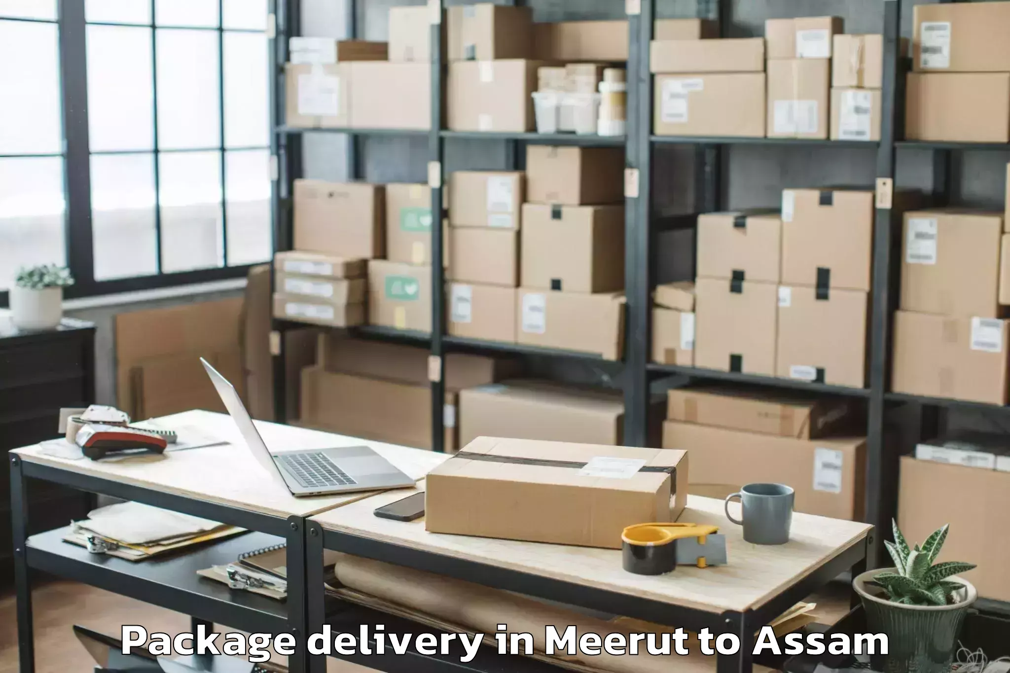 Professional Meerut to Mirza Kamrup Package Delivery